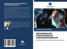 METHODISCHE STRATEGIEN IM CHEMIEUNTERRICHT kitap kapağı