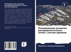 Обложка Планирование развития распределительных сетей с учетом времени