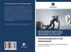 Bookcover of Finanzmanagement in der Notstandszeit