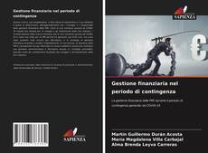 Bookcover of Gestione finanziaria nel periodo di contingenza