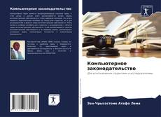 Buchcover von Компьютерное законодательство