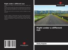 Capa do livro de Right under a different eye 