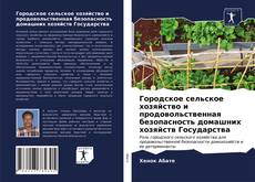 Городское сельское хозяйство и продовольственная безопасность домашних хозяйств Государства的封面