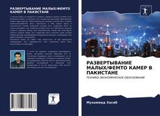 Buchcover von РАЗВЕРТЫВАНИЕ МАЛЫХ/ФЕМТО КАМЕР В ПАКИСТАНЕ