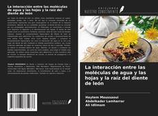 Portada del libro de La interacción entre las moléculas de agua y las hojas y la raíz del diente de león