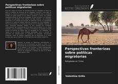 Bookcover of Perspectivas fronterizas sobre políticas migratorias