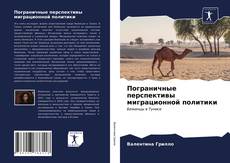 Couverture de Пограничные перспективы миграционной политики