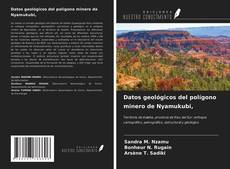 Copertina di Datos geológicos del polígono minero de Nyamukubi,