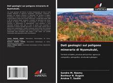 Bookcover of Dati geologici sul poligono minerario di Nyamukubi,