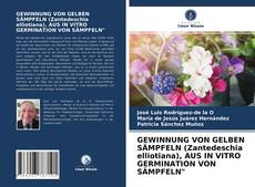 Capa do livro de GEWINNUNG VON GELBEN SÄMPFELN (Zantedeschia elliotiana), AUS IN VITRO GERMINATION VON SÄMPFELN" 