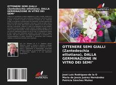 Bookcover of OTTENERE SEMI GIALLI (Zantedeschia elliotiana), DALLA GERMINAZIONE IN VITRO DEI SEMI"