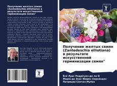 Получение желтых семян (Zantedeschia elliotiana) в результате искусственной герминизации семян"的封面