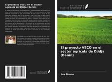 Borítókép a  El proyecto VECO en el sector agrícola de Djidja (Benín) - hoz