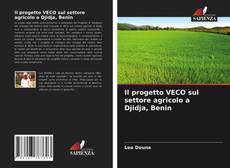 Bookcover of Il progetto VECO sul settore agricolo a Djidja, Benin