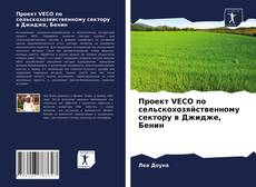 Обложка Проект VECO по сельскохозяйственному сектору в Джидже, Бенин