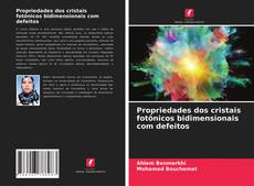 Couverture de Propriedades dos cristais fotônicos bidimensionais com defeitos