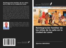 Bookcover of Reintegración familiar de los niños de la calle en la ciudad de Lomé