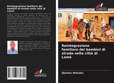 Reintegrazione familiare dei bambini di strada nella città di Lomé kitap kapağı