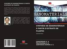 SYNTHÈSE DE NANOMATÉRIAUX À PARTIR D'EXTRAITS DE PLANTES的封面