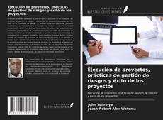 Bookcover of Ejecución de proyectos, prácticas de gestión de riesgos y éxito de los proyectos