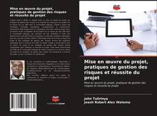 Mise en œuvre du projet, pratiques de gestion des risques et réussite du projet的封面