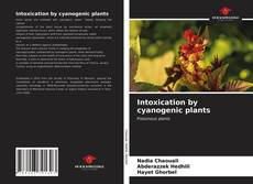 Capa do livro de Intoxication by cyanogenic plants 