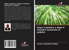 Bookcover of Dopo il pastore o dopo il ministro associato al pulpito