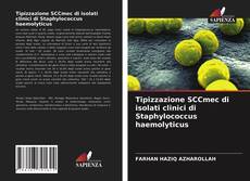 Bookcover of Tipizzazione SCCmec di isolati clinici di Staphylococcus haemolyticus