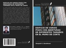 Bookcover of EDIFICIO DE VARIOS PISOS CON ABERTURAS DE DIFERENTES TAMAÑOS EN EL MURO DE CORTE