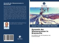 Bookcover of Dynamik der Wassererosion in Brazzaville