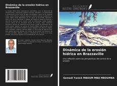 Обложка Dinámica de la erosión hídrica en Brazzaville