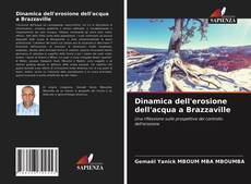 Bookcover of Dinamica dell'erosione dell'acqua a Brazzaville