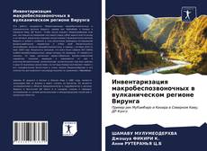 Обложка Инвентаризация макробеспозвоночных в вулканическом регионе Вирунга