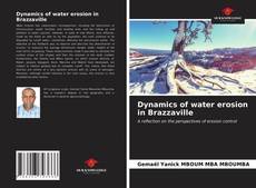 Bookcover of Dynamics of water erosion in Brazzaville