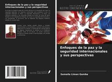 Bookcover of Enfoques de la paz y la seguridad internacionales y sus perspectivas