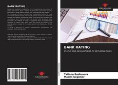 Capa do livro de BANK RATING 