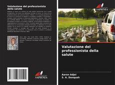 Bookcover of Valutazione del professionista della salute