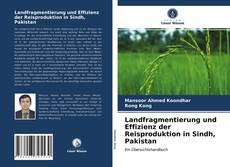 Copertina di Landfragmentierung und Effizienz der Reisproduktion in Sindh, Pakistan
