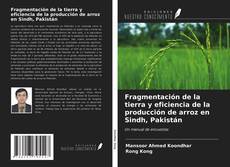 Borítókép a  Fragmentación de la tierra y eficiencia de la producción de arroz en Sindh, Pakistán - hoz
