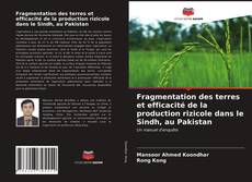 Обложка Fragmentation des terres et efficacité de la production rizicole dans le Sindh, au Pakistan