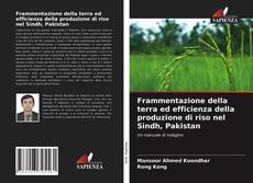 Bookcover of Frammentazione della terra ed efficienza della produzione di riso nel Sindh, Pakistan