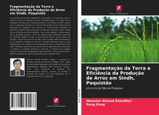 Capa do livro de Fragmentação da Terra e Eficiência da Produção de Arroz em Sindh, Paquistão 