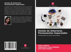 Capa do livro de Gestão de Anteriores Permanentes Impactados 