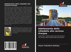 Bookcover of Adattamento della cittadella alla carenza d'acqua