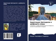 Обложка Адаптация Цитадели к дефициту воды