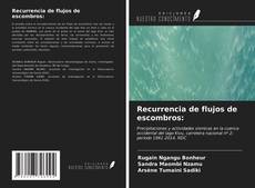 Bookcover of Recurrencia de flujos de escombros: