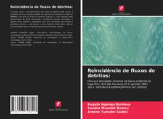 Capa do livro de Reincidência de fluxos de detritos: 
