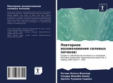 Bookcover of Повторное возникновение селевых потоков: