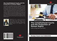 Bookcover of The Constitutional Courts and the Protection of Human Rights