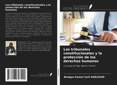 Borítókép a  Los tribunales constitucionales y la protección de los derechos humanos - hoz